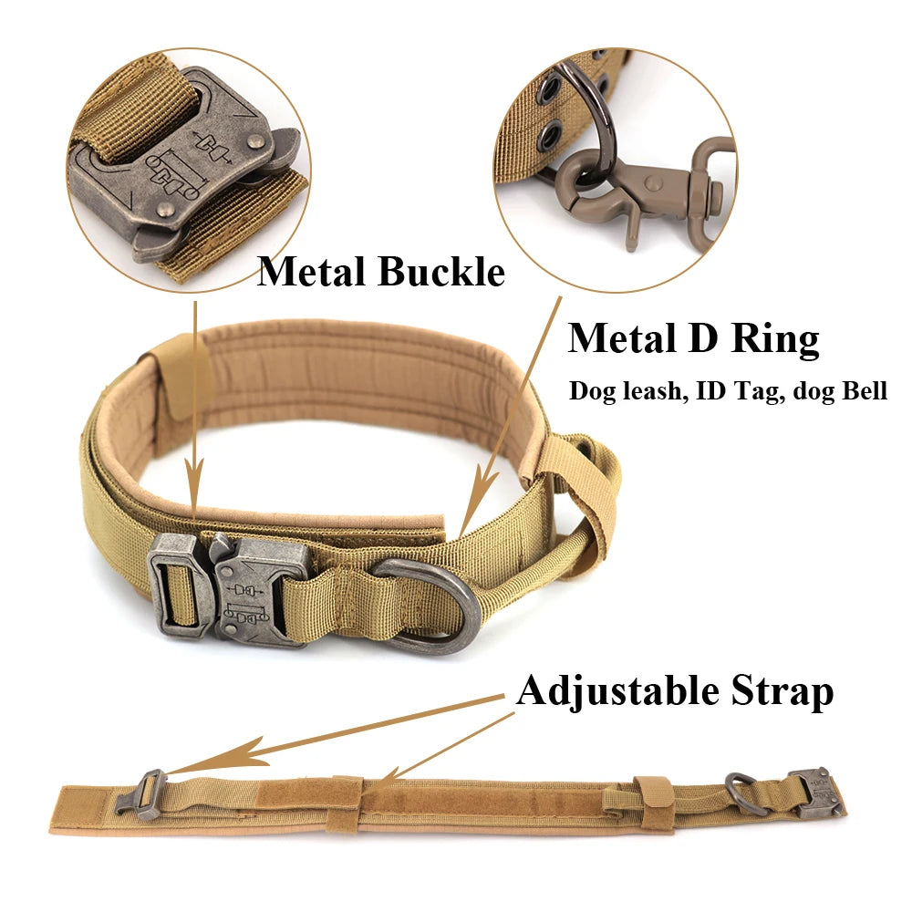 Adjustable Dog Training Collar and Leash Set