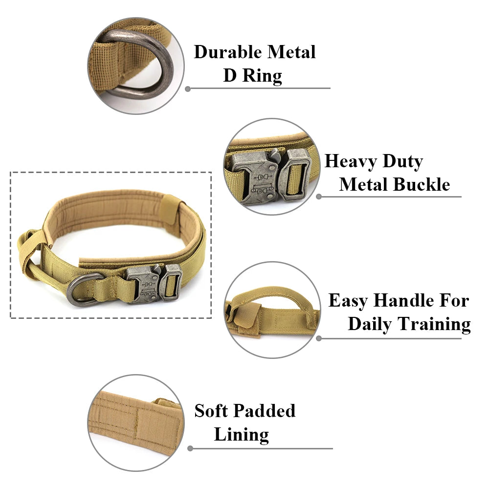 Adjustable Dog Training Collar and Leash Set