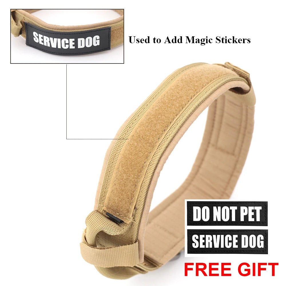 Adjustable Dog Training Collar and Leash Set