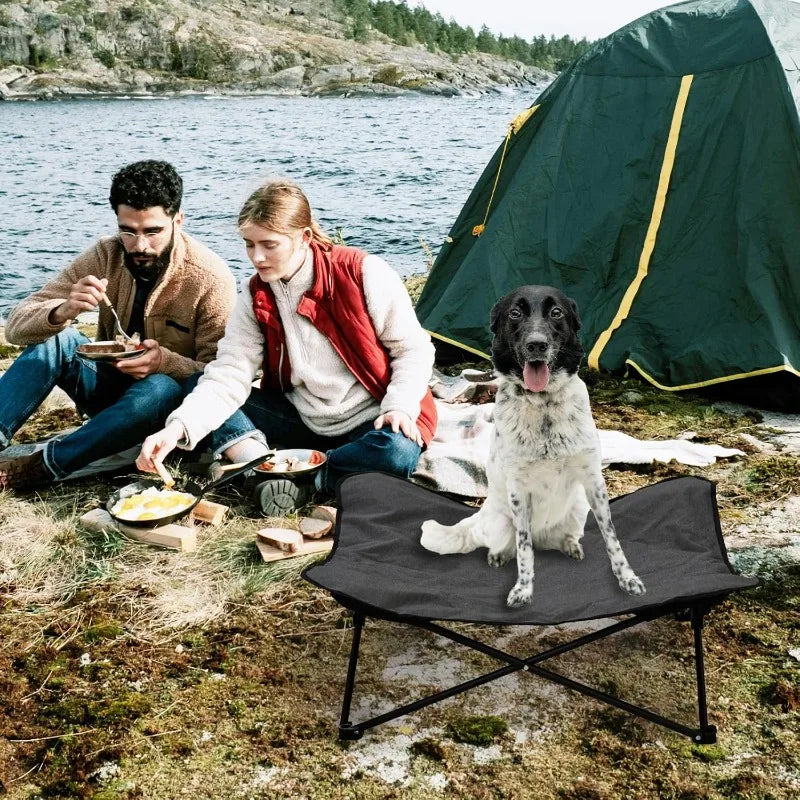 Portable Raised Pet Bed Pet with Carrying Bag