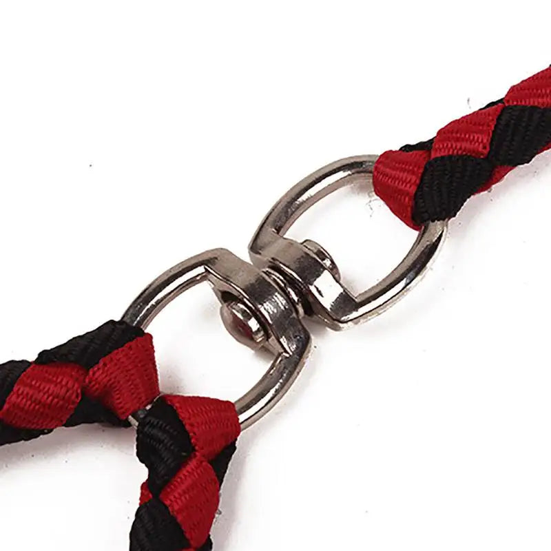 2 Way Elastic Dog Leash Rope