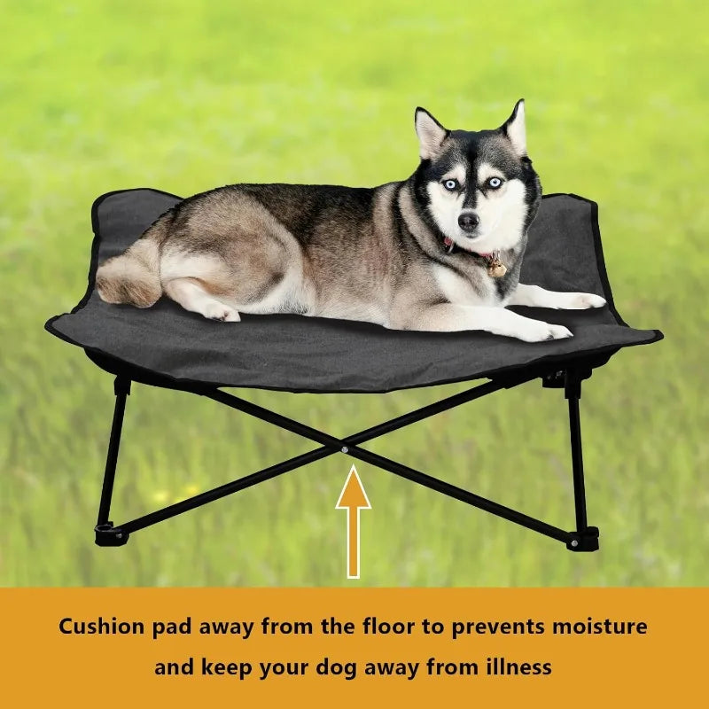 Portable Raised Pet Bed Pet with Carrying Bag