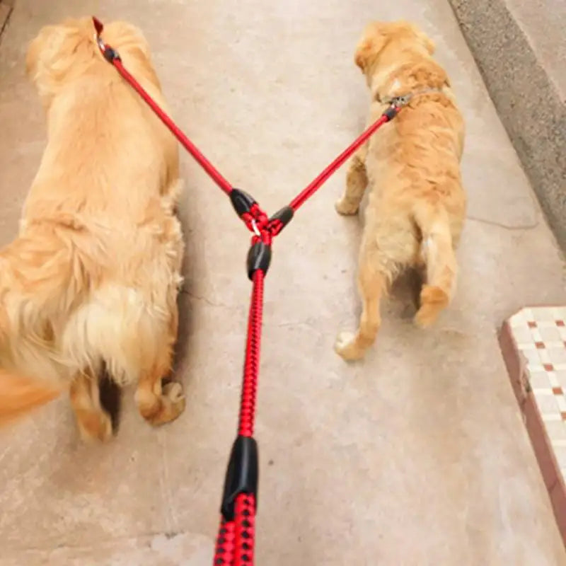 2 Way Elastic Dog Leash Rope