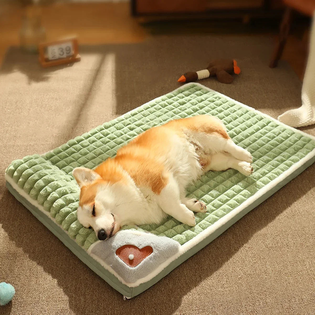 Anti-Slip Soft Warm Dog Bed with Washable Pillow